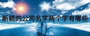 新颖的公司名字两个字有哪些