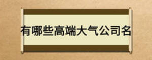有哪些高端大气公司名