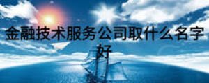 金融技术服务公司取什么名字好