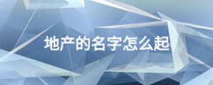 地产的名字怎么起