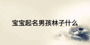 宝宝起名男孩林子什么