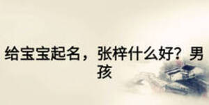 给宝宝起名，张梓什么好？男孩