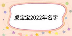 虎宝宝2022年名字