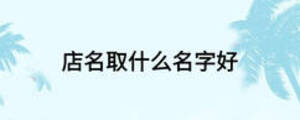 店名取什么名字好