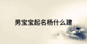 男宝宝起名杨什么建