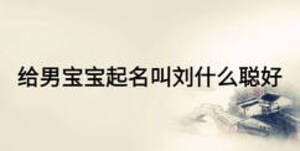 给男宝宝起名叫刘什么聪好