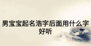 男宝宝起名浩字后面用什么字好听