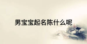 男宝宝起名陈什么呢