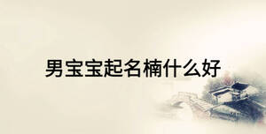 男宝宝起名楠什么好