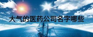 大气的医药公司名字哪些