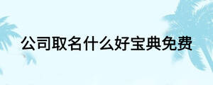 公司取名什么好宝典免费