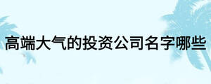 高端大气的投资公司名字哪些