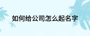 如何给公司怎么起名字