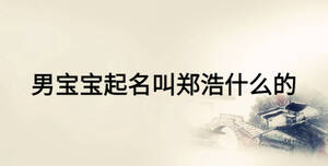 男宝宝起名叫郑浩什么的