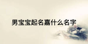 男宝宝起名嘉什么名字
