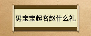 男宝宝起名赵什么礼