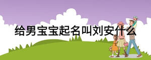 给男宝宝起名叫刘安什么