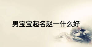 男宝宝起名赵一什么好