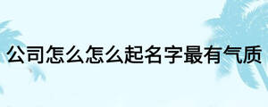 /nameask/16479.html