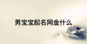 /nameask/16451.html