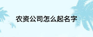 农资公司怎么起名字