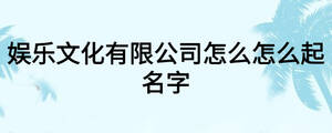 娱乐文化有限公司怎么怎么起名字