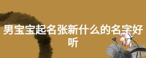 男宝宝起名张新什么的名字好听
