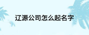 辽源公司怎么起名字