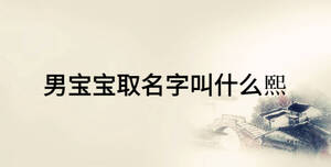 男宝宝取名字叫什么熙