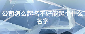 公司怎么起名不好能起个什么名字