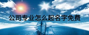 公司专业怎么起名字免费