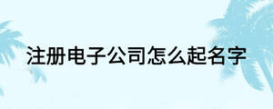 注册电子公司怎么起名字