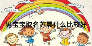 男宝宝取名苏晨什么比较好