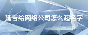 延吉给网络公司怎么起名字