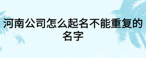 河南公司怎么起名不能重复的名字