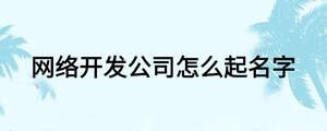 网络开发公司怎么起名字