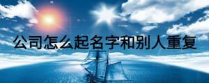 公司怎么起名字和别人重复