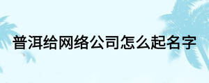 普洱给网络公司怎么起名字