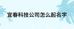 宜春科技公司怎么起名字