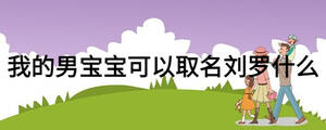 我的男宝宝可以取名刘罗什么
