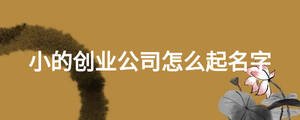 小的创业公司怎么起名字