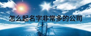 怎么起名字非常多的公司