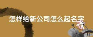 怎样给新公司怎么起名字