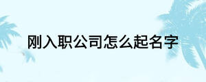 /nameask/17466.html
