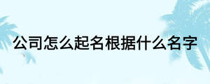 /nameask/17480.html