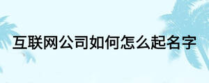 互联网公司如何怎么起名字