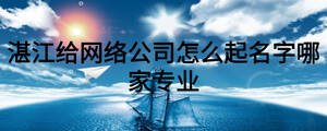 湛江给网络公司怎么起名字哪家专业