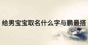 /nameask/17594.html