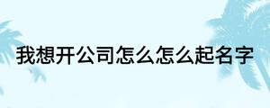 我想开公司怎么怎么起名字