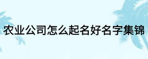 农业公司怎么起名好名字集锦